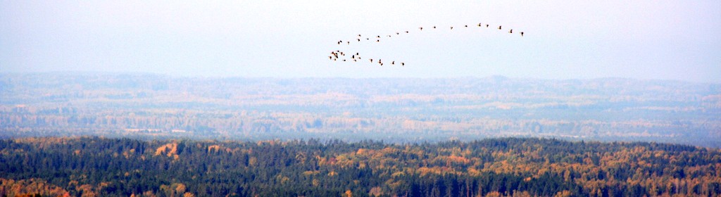 Estonia
